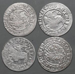 Set of 4 half-penny pieces from 1511, Vilnius including destructor
