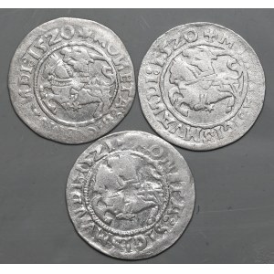 Zestaw 3 szt. półgroszy 1520-1521, Wilno