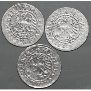 Zestaw 3 szt. półgroszy 1520-1521, Wilno
