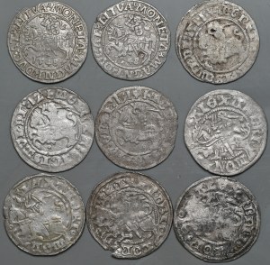 Set of 9 Vilnius half-pennies of Alexander, Sigismund the Old and Sigismund Augustus