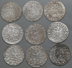 Set of 9 Vilnius half-pennies of Alexander, Sigismund the Old and Sigismund Augustus