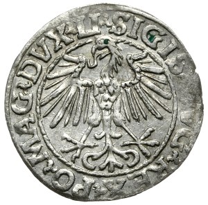 Sigismund II Augustus, Half-penny 1548, Vilnius - LI/LITVA, Arabic one in the date