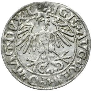 Zygmunt II August, półgrosz 1550, Wilno, LI/LITVA