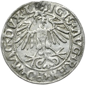 Sigismund II Augustus, half-penny 1550, Vilnius, L/LITVA