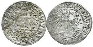 Set of 2 half-pennies 1548 and 1556, Vilnius