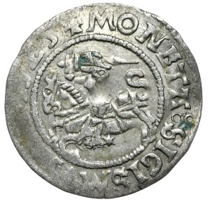 Sigismund I the Old, half-penny 1525, Vilnius, rarer vintage