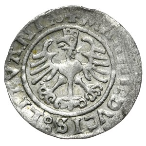 Zygmunt I Stary, półgrosz 1525, Wilno, rzadszy rocznik