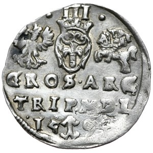 Zygmunt III Waza, trojak 1594, Wilno