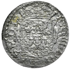 Sigismund III Vasa, half horn 1619 Vilnius - Rarity