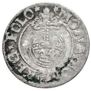 Sigismund III Vasa, halftone without date, Bydgoszcz