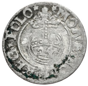Sigismund III Vasa, halftone without date, Bydgoszcz