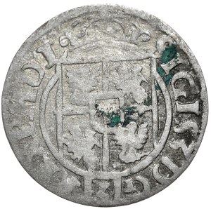 Sigismund III Vasa, halftone without date, Bydgoszcz