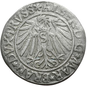 Prusy Książęce, Albrecht Hohenzollern, Grosz 1539, Królewiec