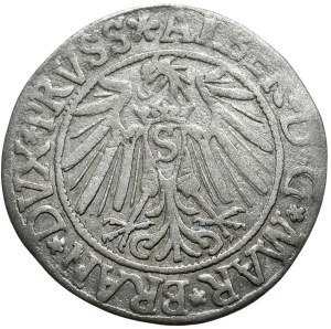 Ducal Prussia, Albrecht Hohenzollern, Grosz 1539, Königsberg