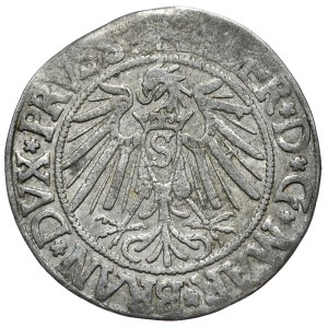 Prusy Książęce, Albrecht Hohenzollern, Grosz 1540, Królewiec