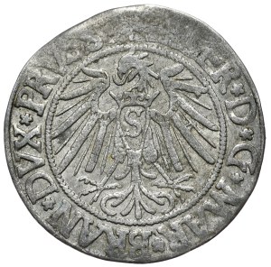 Ducal Prussia, Albrecht Hohenzollern, Grosz 1540, Königsberg