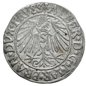 Ducal Prussia, Albrecht Hohenzollern, penny 1542, Königsberg