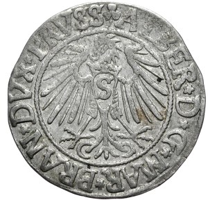 Ducal Prussia, Albrecht Hohenzollern, penny 1542, Königsberg