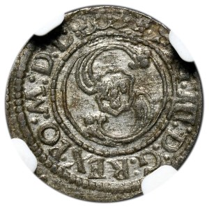 Zygmunt III Waza, Szeląg 1624, Wilno
