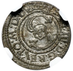 Sigismund III Vasa, Shelrogue 1624, Vilnius