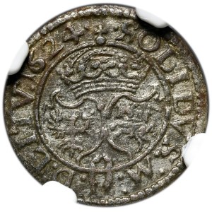 Zygmunt III Waza, Szeląg 1624, Wilno