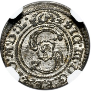 Sigismund III Vasa, Shelrogue 1625, Vilnius