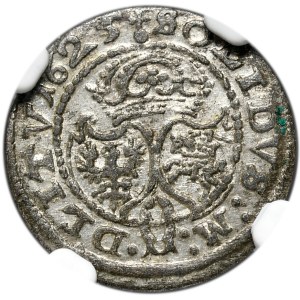 Zygmunt III Waza, Szeląg 1625, Wilno