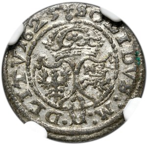 Sigismund III Vasa, Shelrogue 1625, Vilnius
