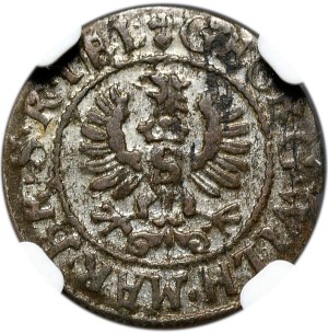 Ducal Prussia, George Wilhelm, Shelag 1627, Königsberg