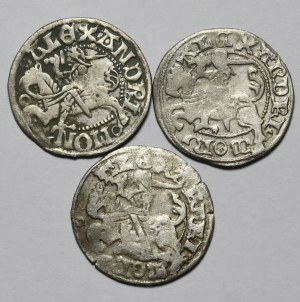 Set of 3 Lithuanian half-pennies of Alexander