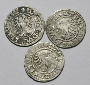 Set of 3 Lithuanian half-pennies of Alexander