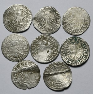 Set of 8 Lithuanian half-pennies of Alexander