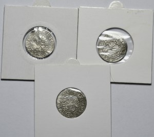 Sigismund I the Old, set of 3 half-pennies 1510-1514, Vilnius