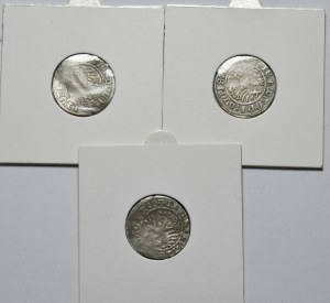 Sigismund I the Old, set of 3 half-pennies 1509-1513, Vilnius