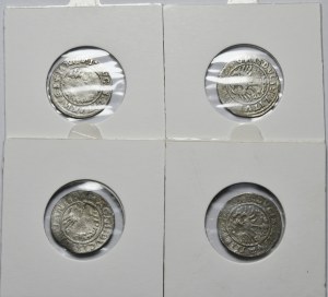 Sigismund I the Old, set of 4 half-pennies 1519-1522, Vilnius