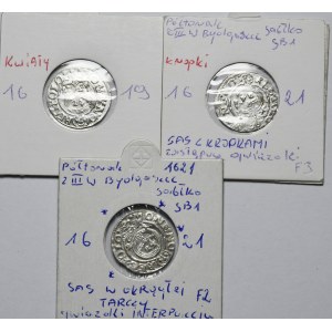 Sigismund III Vasa, set of 3 half-tracks 1619-1621, rarer varieties