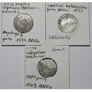 Zestaw 3 szt. grosz 1544, Brzeg, grosz 1545, Królewiec i 3 krajcary 1669, Brzeg