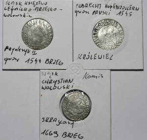 Set of 3 pennies 1544, Brzeg, penny 1545, Königsberg and 3 krajcars 1669, Brzeg