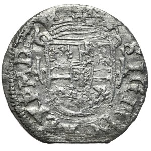 Sigismund III Vasa, half horn 1619 Vilnius - Rarity