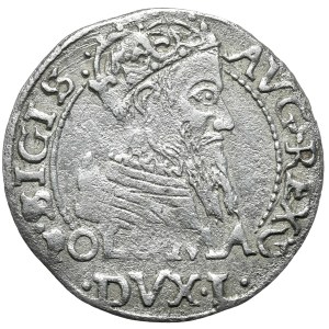 Sigismund II Augustus, Penny 1566, Tykocin - JASTRZĘBIEC
