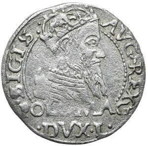 Sigismund II Augustus, Penny 1566, Tykocin - JASTRZĘBIEC