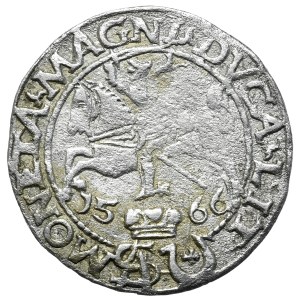 Sigismund II Augustus, Penny 1566, Tykocin - JASTRZĘBIEC