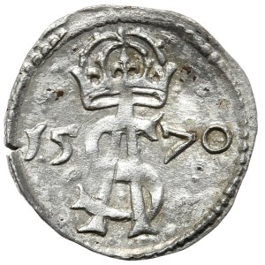 Zygmunt II August, dwudenar 1570, Wilno