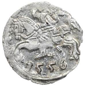 Zygmunt II August, denar 1556, Wilno