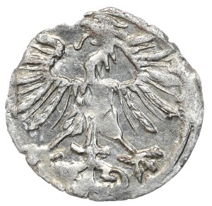 Sigismund II Augustus, denarius 1556, Vilnius
