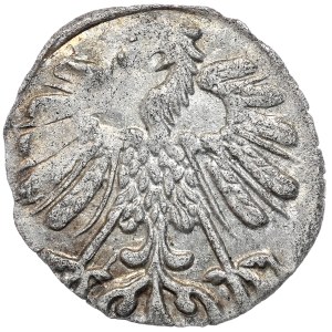 Zygmunt II August, denar 1558, Wilno