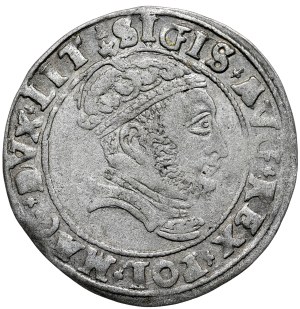 Sigismund II Augustus, A penny for the Lithuanian foot 1546, Vilnius, LIT/LITVA