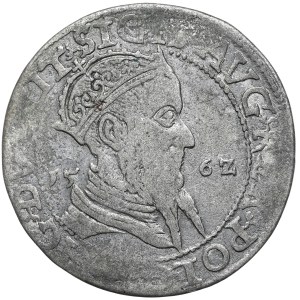 Zygmunt II August, trojak portretowy 1562, Wilno, LIT/LITV. Połyskowy