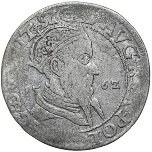 Sigismund II Augustus, portrait trojak 1562, Vilnius, LIT/LITV. Glossy