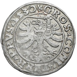 Sigismund I the Old, penny 1530 Torun, SIGIS without I. Rarity